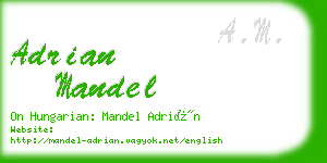 adrian mandel business card